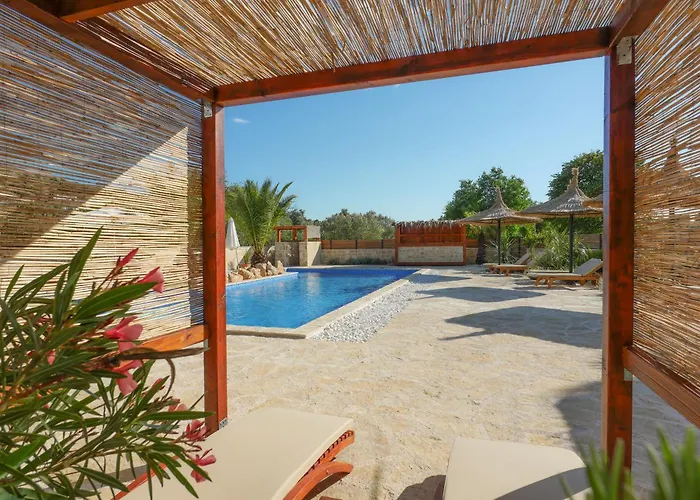 Lojena - New Exeptional For 2