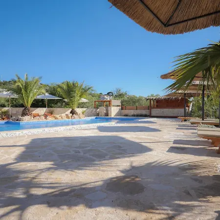 Lojena - New Exeptional For 2